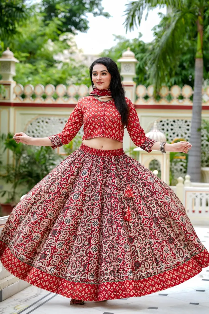 Bagru Hand Block Print Lehenga Choli